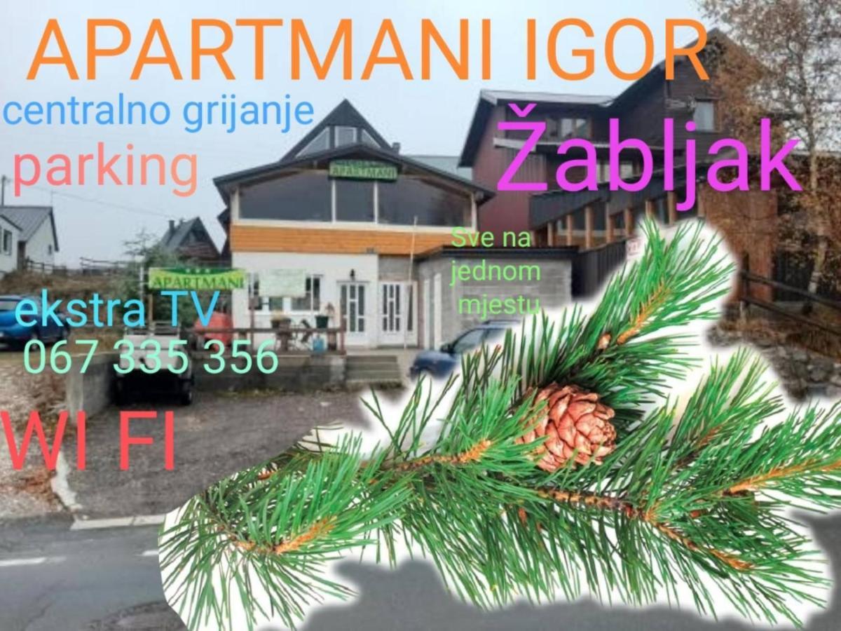 Apartments Igor Žabljak Dış mekan fotoğraf