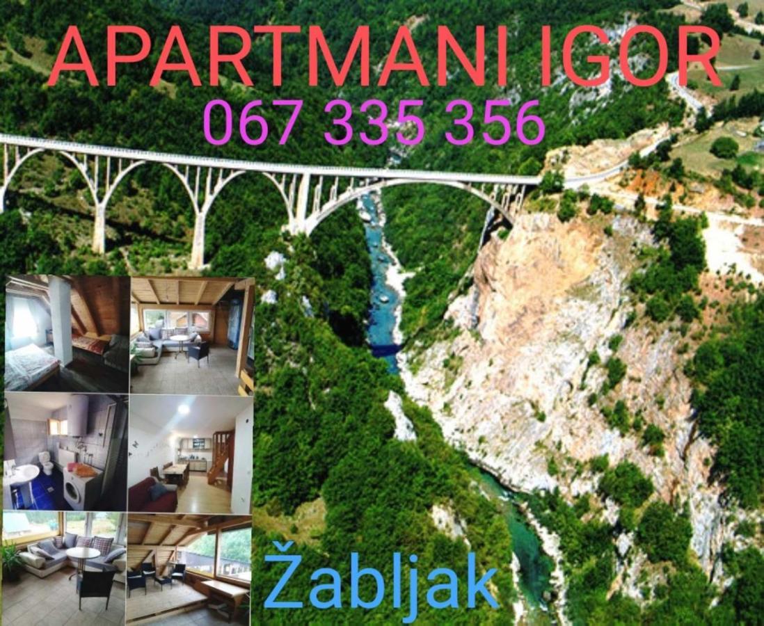 Apartments Igor Žabljak Dış mekan fotoğraf