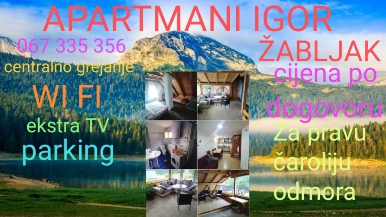 Apartments Igor Žabljak Dış mekan fotoğraf