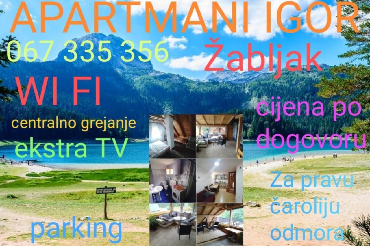 Apartments Igor Žabljak Dış mekan fotoğraf